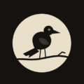 Crooked Little Crow